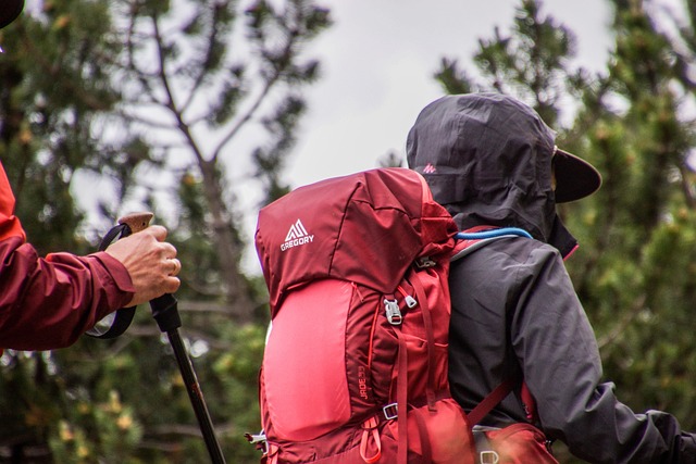 Scopri come preparare il tuo zaino per un’avventura indimenticabile in montagna!