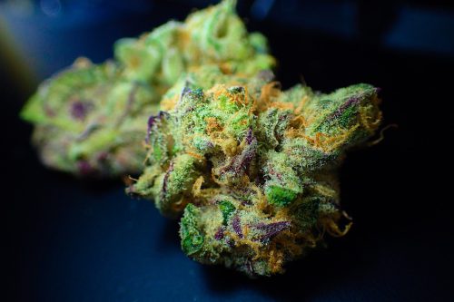 La Cannabis Light può davvero aumentare la libido?